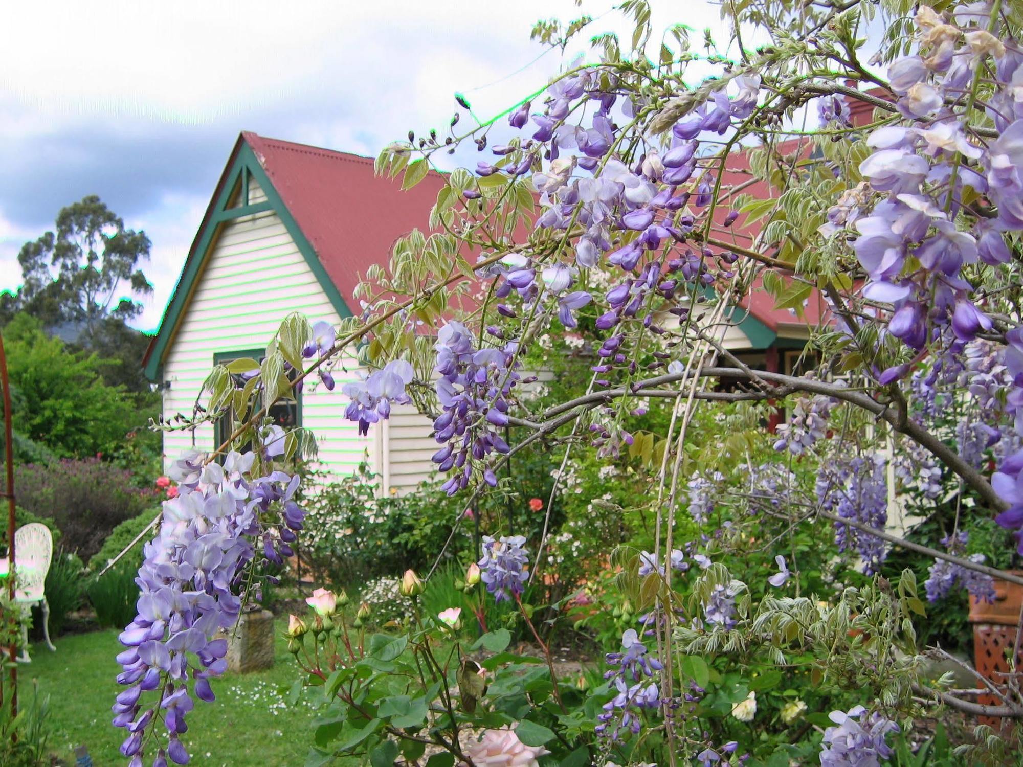 Crabtree House Bed & Breakfast Grove Dış mekan fotoğraf